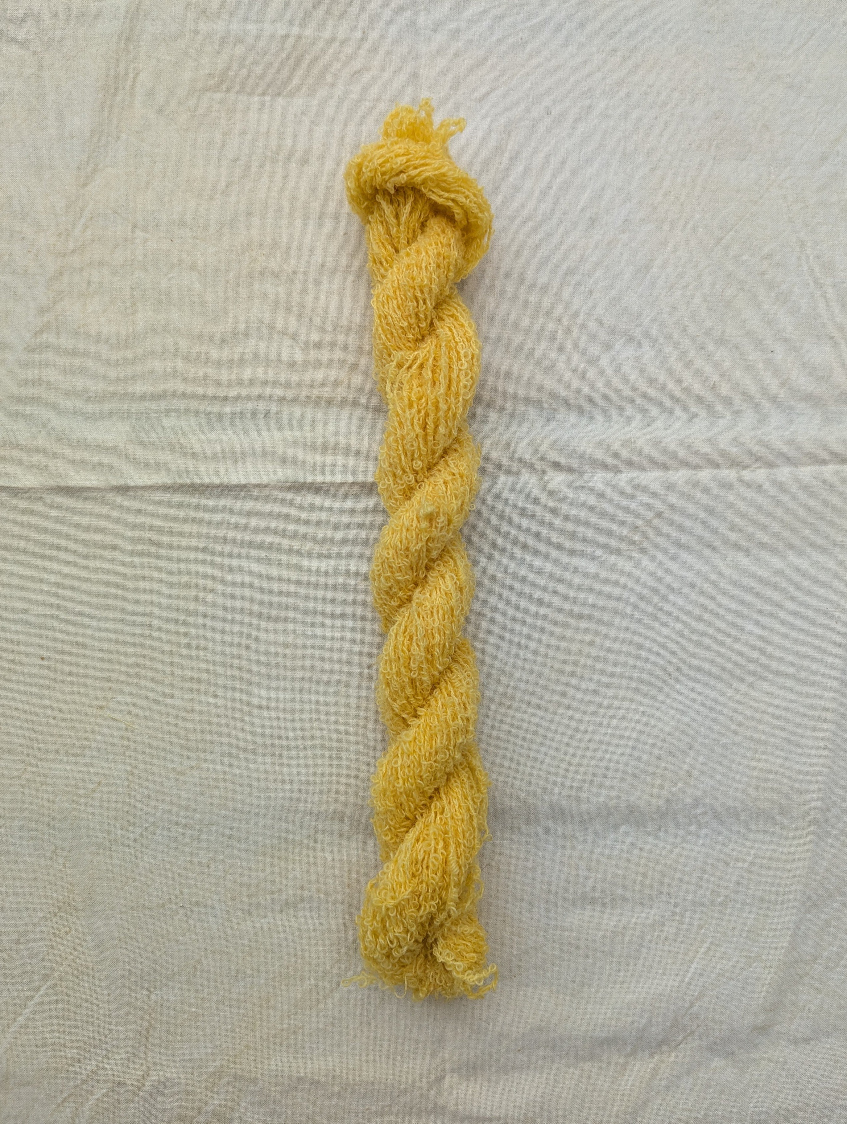 Yellow Lace Loop  ⋆˚࿔ hand dyed yarn