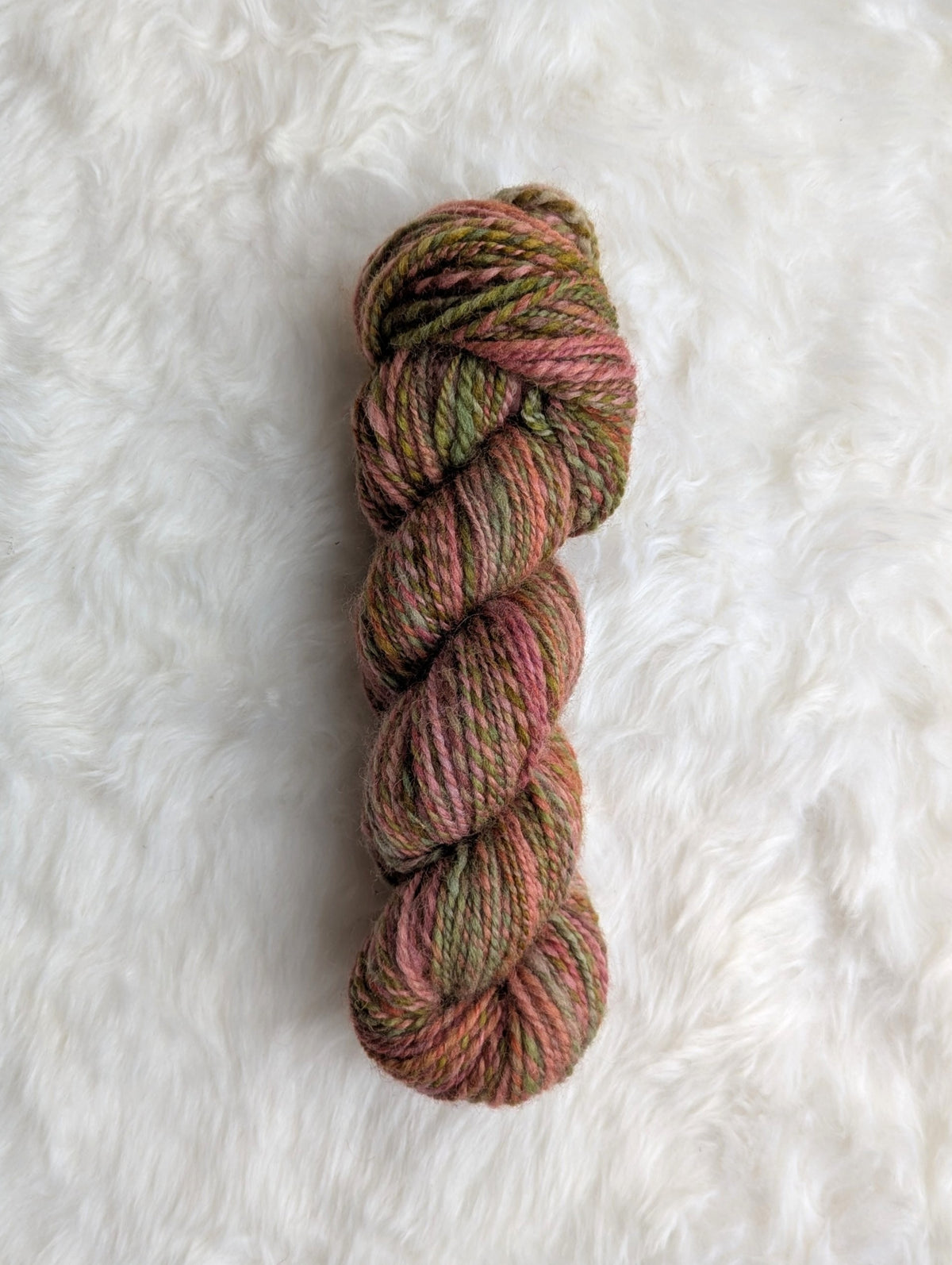 Earthen Fractal 𖦹 handspun yarn