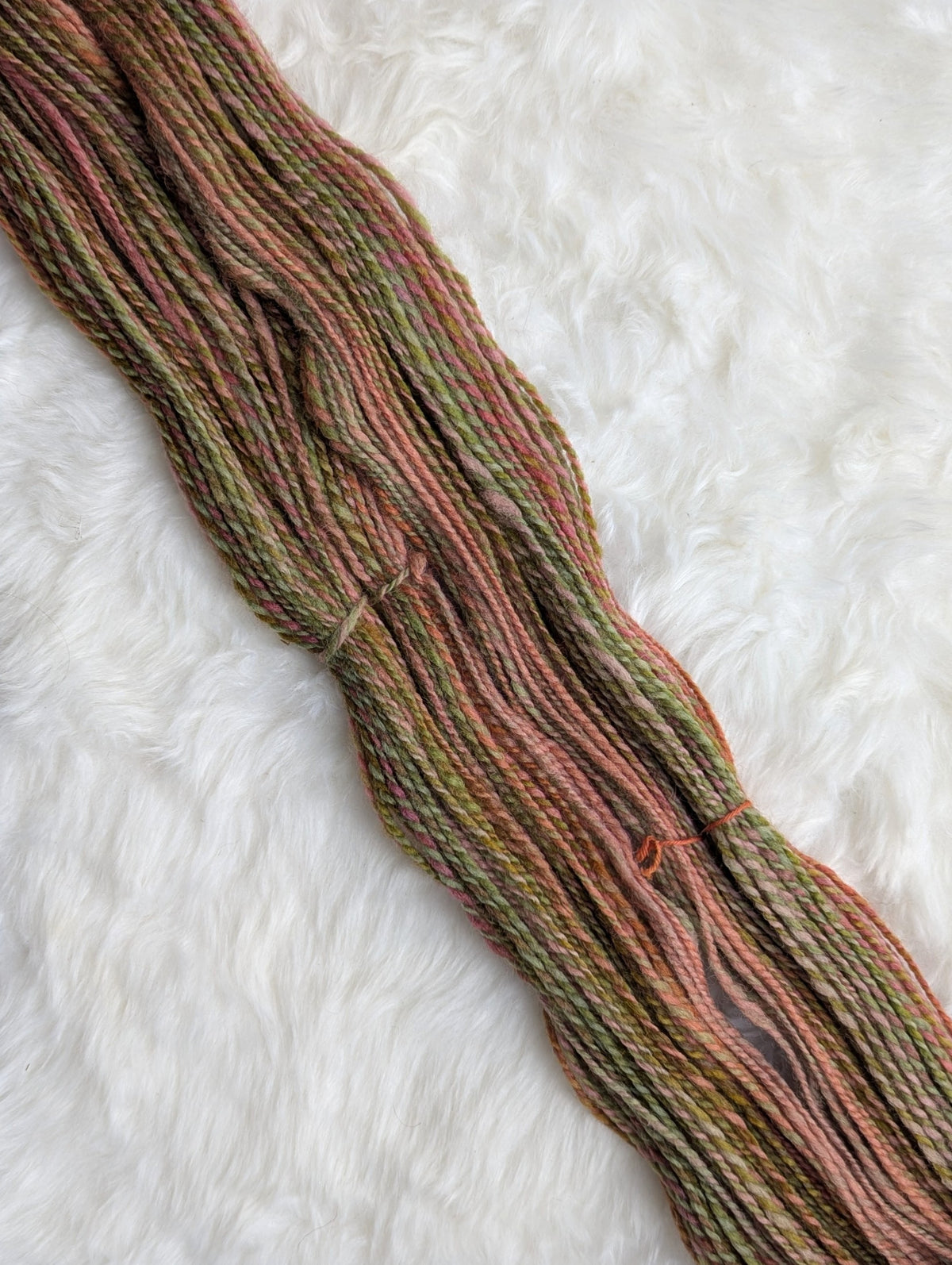 Earthen Fractal 𖦹 handspun yarn