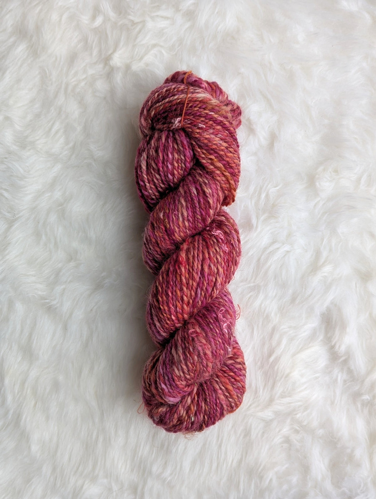 Fruits of the Earth 𖦹 handspun yarn